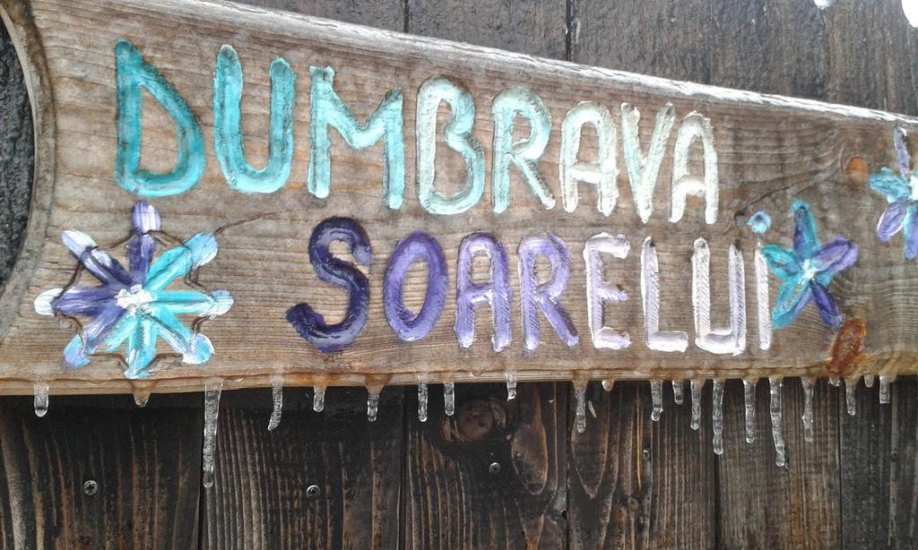 Hotel Dumbrava Soarelui Braşov Exterior foto