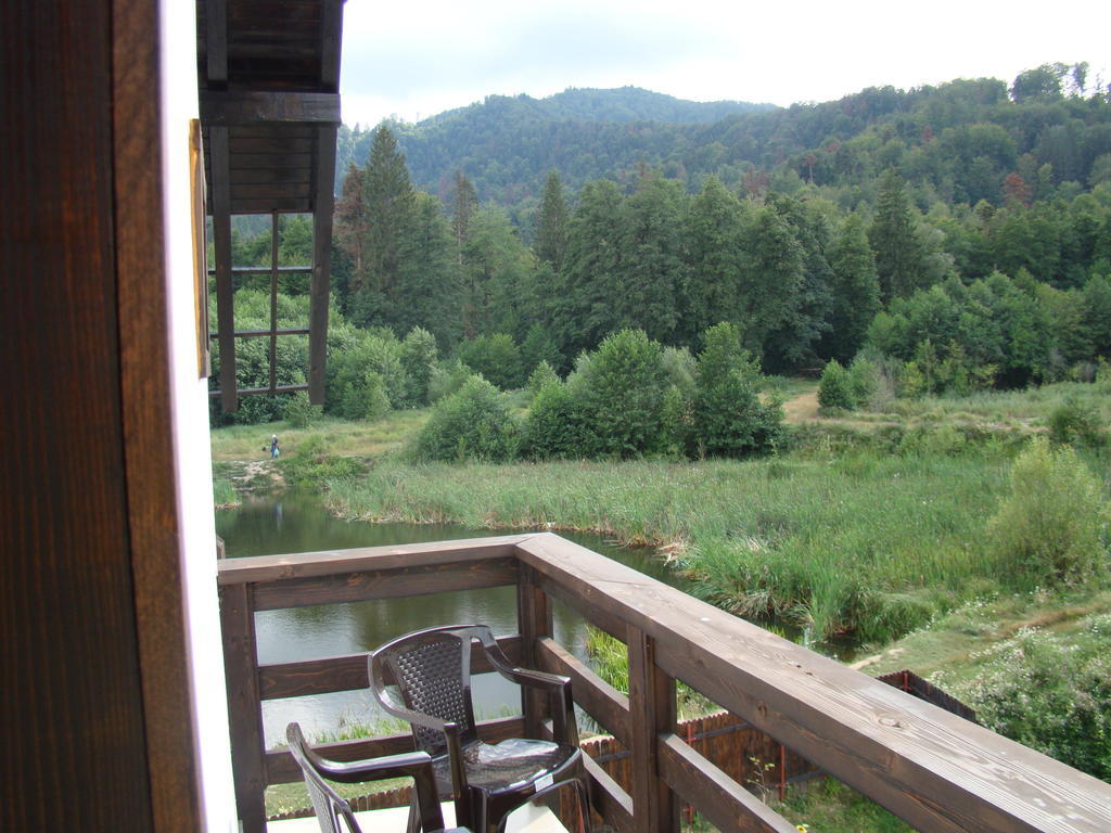 Hotel Dumbrava Soarelui Braşov Habitación foto